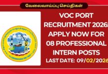 VOC Port Recruitment 2026: Apply Now for 08 Professional Intern Posts VOC Port Recruitment 2026